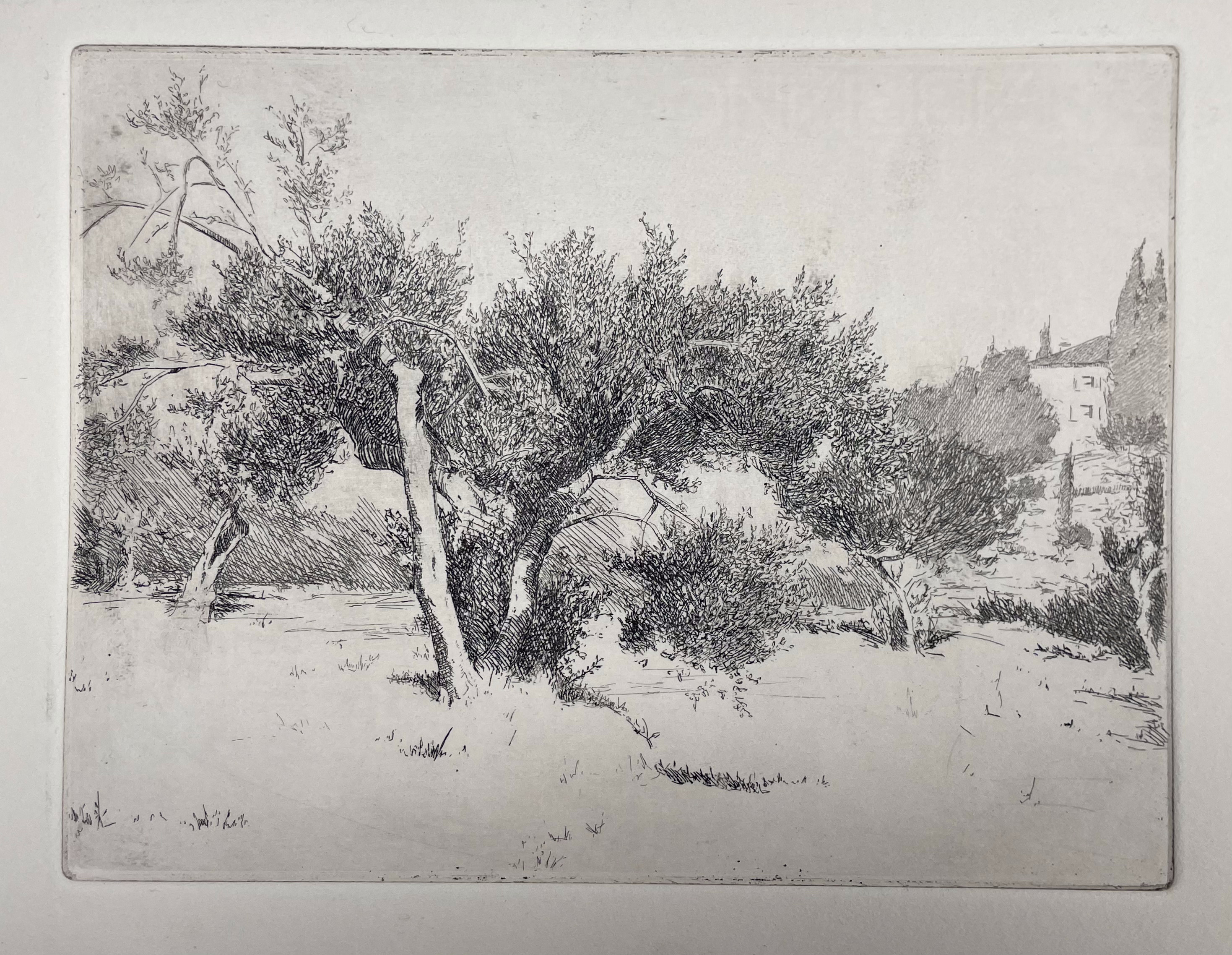 Villa Rusciano